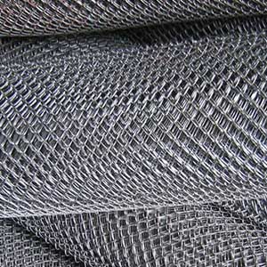 Сетка рабица в Дисне