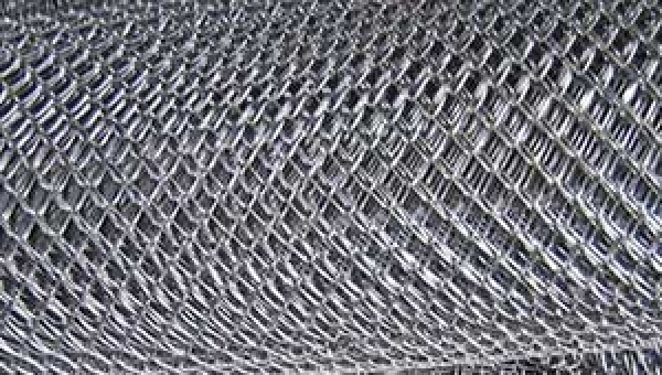 Сетка рабица в Дисне