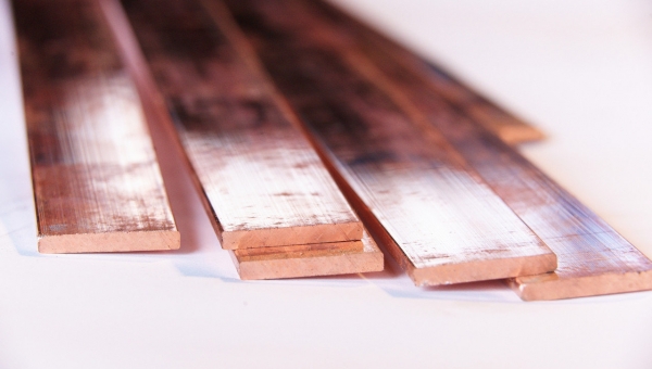 Медная шина в Дисне